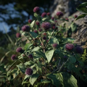 Burdock Root (Dried)