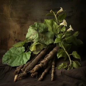 Rehmannia Root (Prepared, Dried)