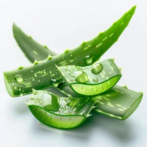 Aloe vera fresh